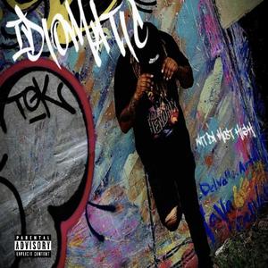 Idiomatic (Explicit)