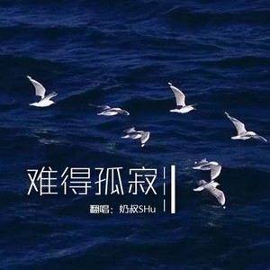 难得孤寂封面
