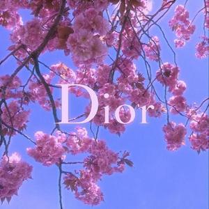 Christian Dior (Explicit)