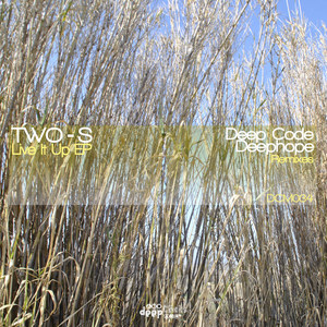 Live It Up (Deep Code Remix)