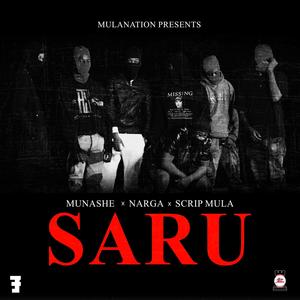 Saru (feat. Nargamr5star & ScripMula)