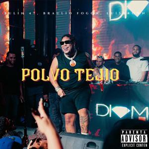 Polvo Tejio (feat. Bulin 47, Braulio Fogon & Luis Brown) [Explicit]