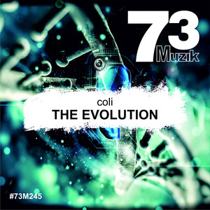 The Evolution (Original Mix)