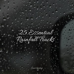 25 Essential Rainfall Tracks