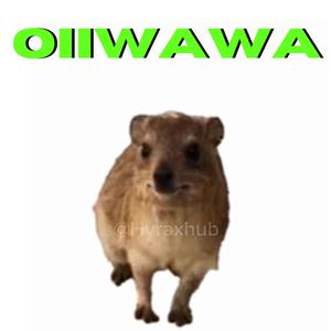 OIIWAWA