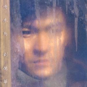 刘德华歌曲 木鱼与金鱼 歌词 演出速查网 刘德华歌曲 木鱼与金鱼 歌词 演出速查网