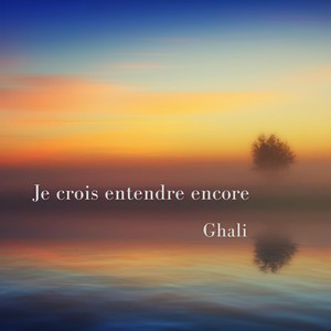 Les Pêcheurs de perles - Je crois entendre encore