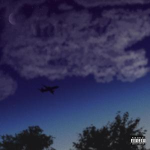 GONE WITHOUT A TRACE