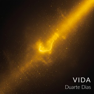 Vida