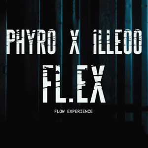 FL.EX(Flow Experience) (Explicit)