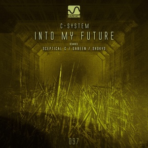 Into My Future (Sceptical C Remix)