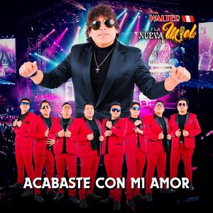 Acabaste Con Mi Amor