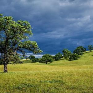 Who Gon' (feat. Da Representa)