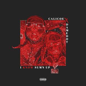 I know sumn up(feat. Dame Dot) (Explicit)