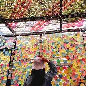 Mei-Reason (CP.T1 remix)