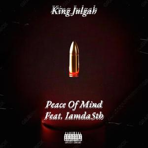 Peace Of Mind (feat. Iamda5th) [Explicit]