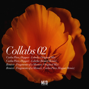 Fragments of a Memory (Carlos Pires, Hopper Remix)
