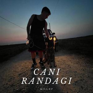 Cani Randagi (Explicit)