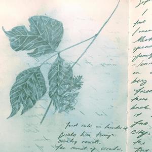 Persephone Pink (feat. prodvelvet)