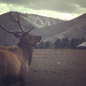 every single day (feat. holdmetillicry)