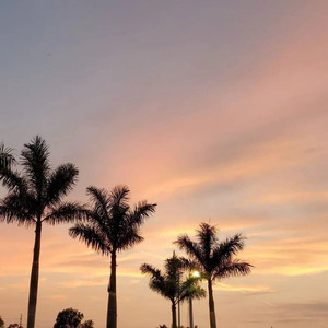 抖音大军 - 沦陷