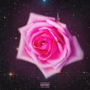 Born to Die (Explicit)