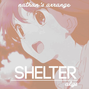 shelter // acoustic arrange