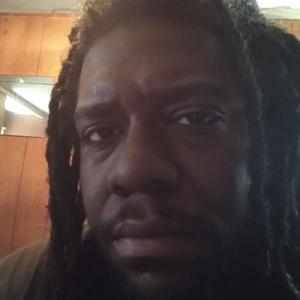 BentoFreestyle2 (Explicit)