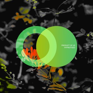 Transcend (Original Mix)