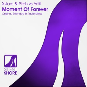 Moment Of Forever (Radio Edit)