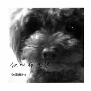 我曾爱过的女孩