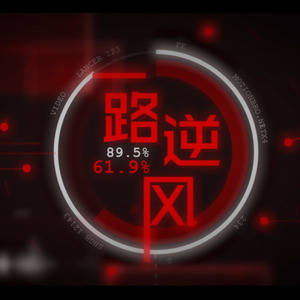 一路逆风封面