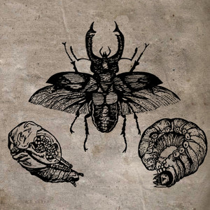 Overture (before the Summer)