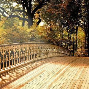 流浪先生demo吉他旋律演奏