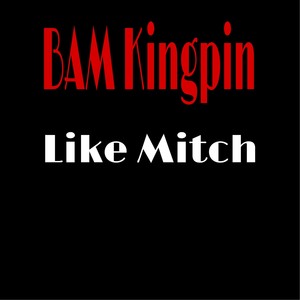 Like Mitch (Explicit)
