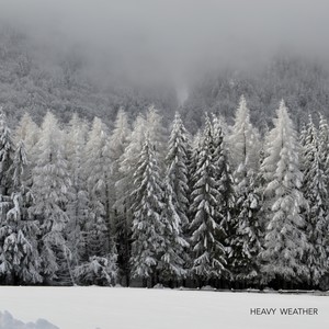 Heavy Weather (Heavy Weather)