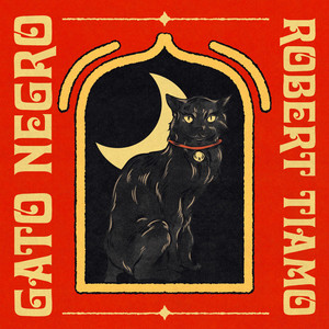 Gato Negro