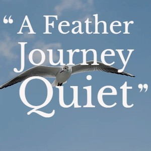 A Feather Journey Quiet