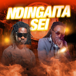 Ndingaita Sei