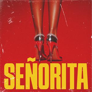SEÑORITA (feat. Reyez)