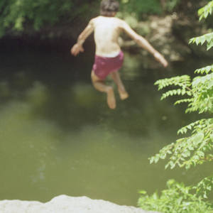 Heartbeat in the Brain