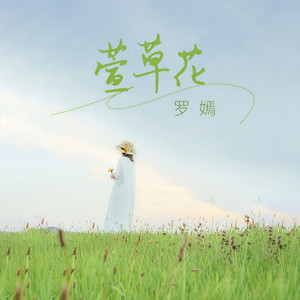 萱草花