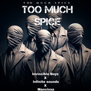Too Much Spice (Explicit)
