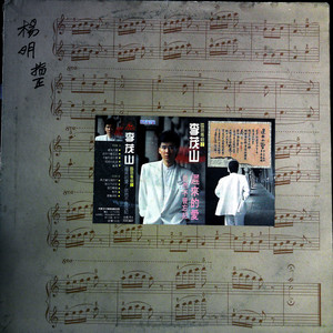 迟来的爱 (黑胶版)