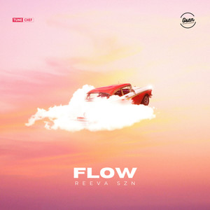 Flow (Explicit)