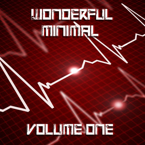 Wonderful Minimal, Vol. 1