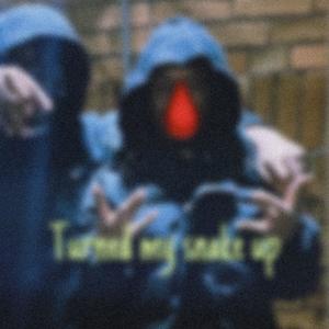 Turned My Snake Up (feat. Locccc) (Explicit)
