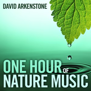 One Hour Of Nature Music: For Massage, Yoga And Relaxation