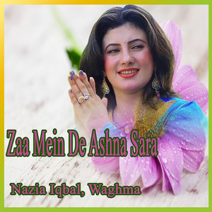 Zaa Mein De Ashna Sara, Vol. 1