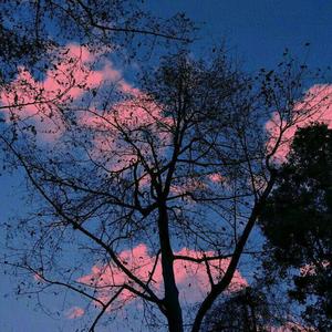 我和你 (翻自 皮卡丘多多)